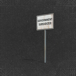 Government Subsidy