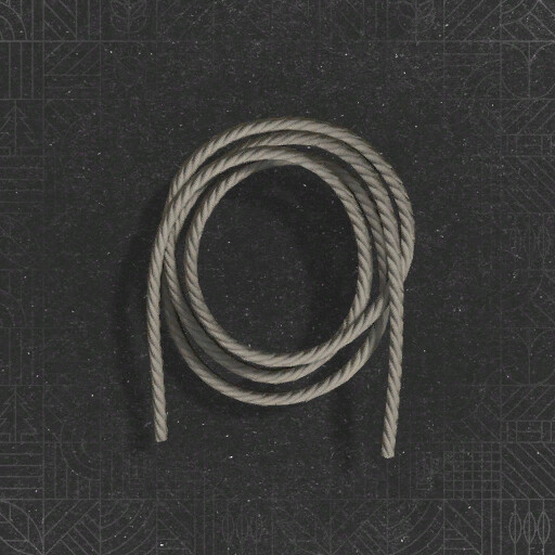 Leash