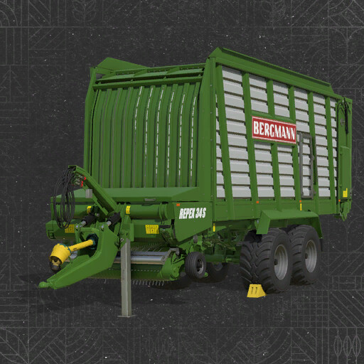 Bergmann Repex 34S