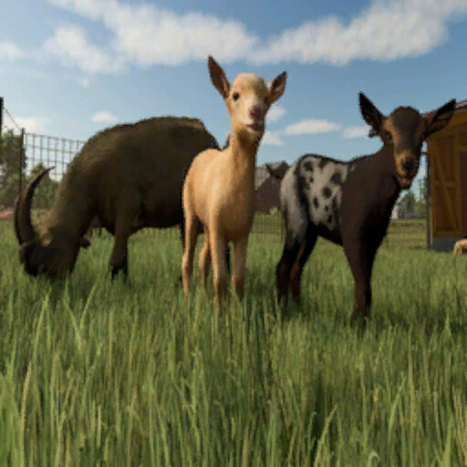 Bigger Animal Barns