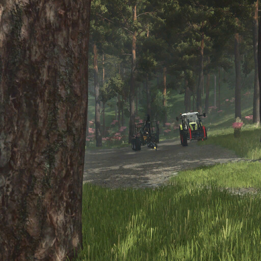 Forest Challenge
