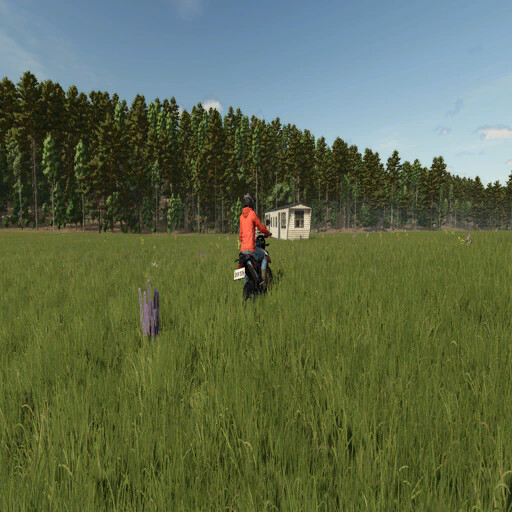 Homestead