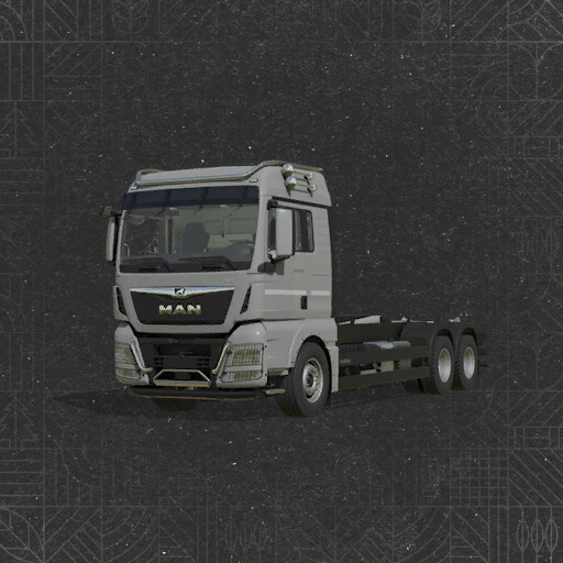 MAN TGX Hooklift
