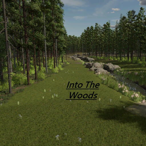 InTo The Woods
