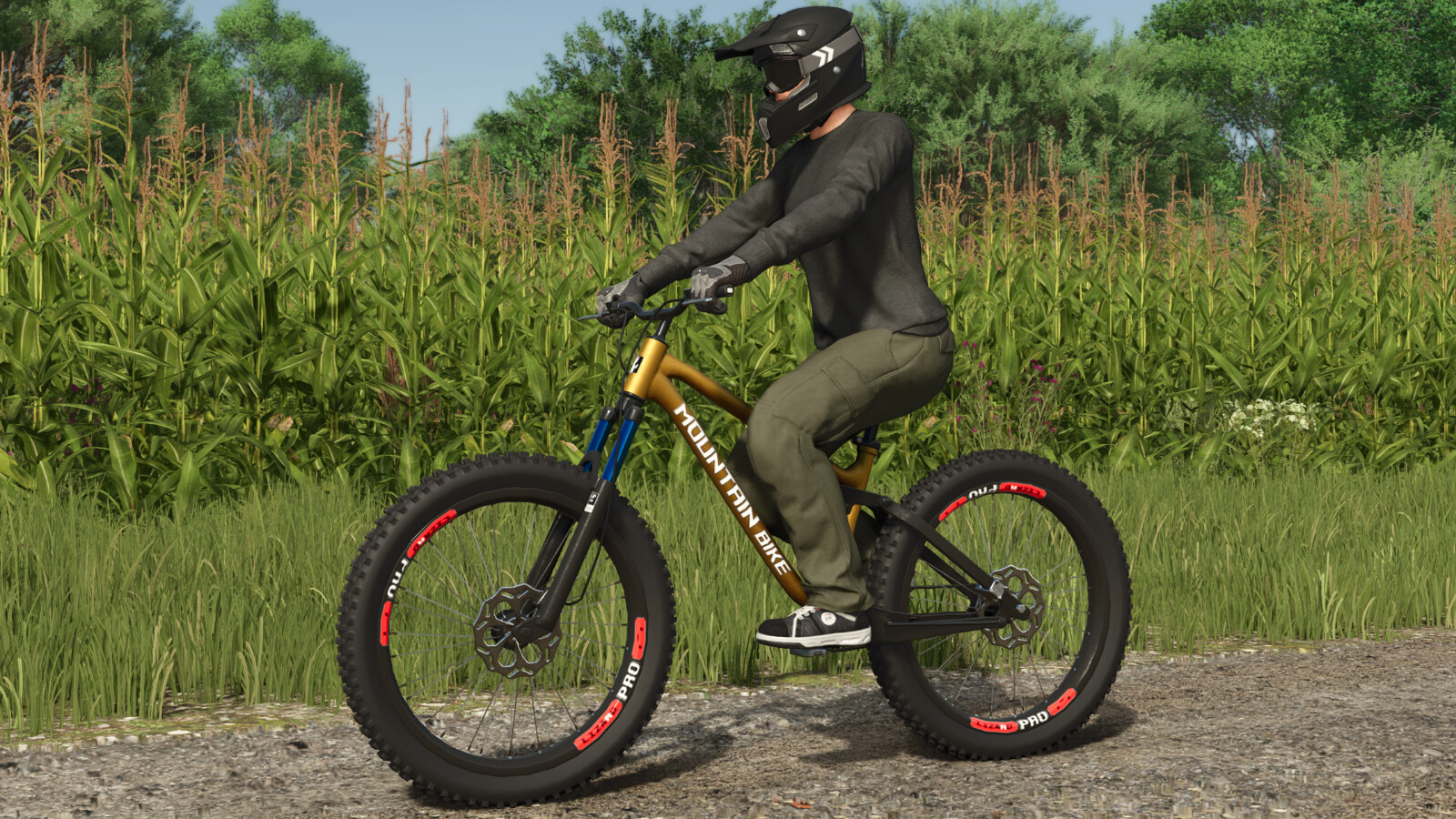 Lizard Mountain Bike