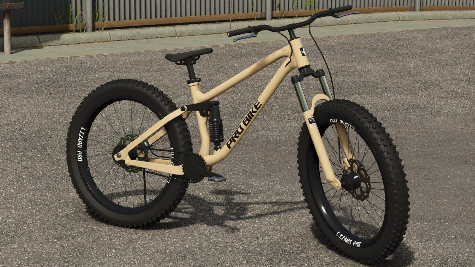 Lizard Mountain Bike