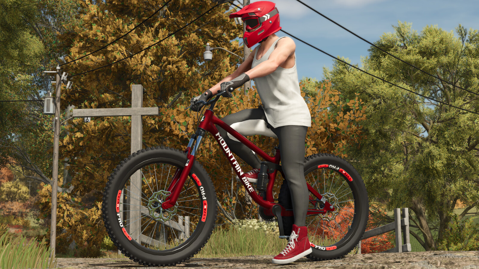 Lizard Mountain Bike