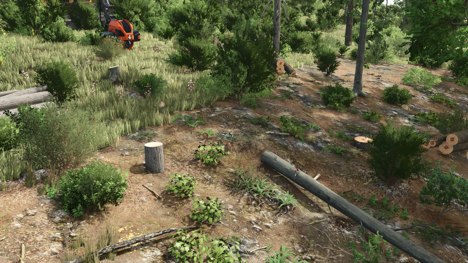 Lizard Forestry T20 Winch