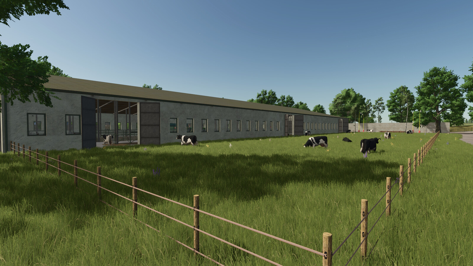 Cow Barn Big