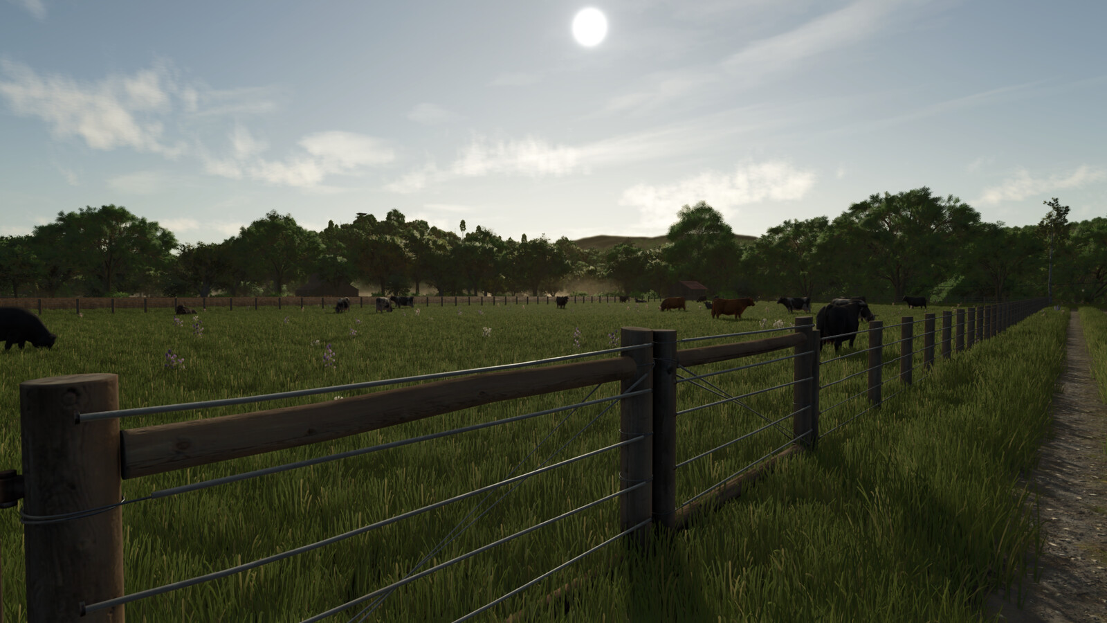Bigger Animal Barns