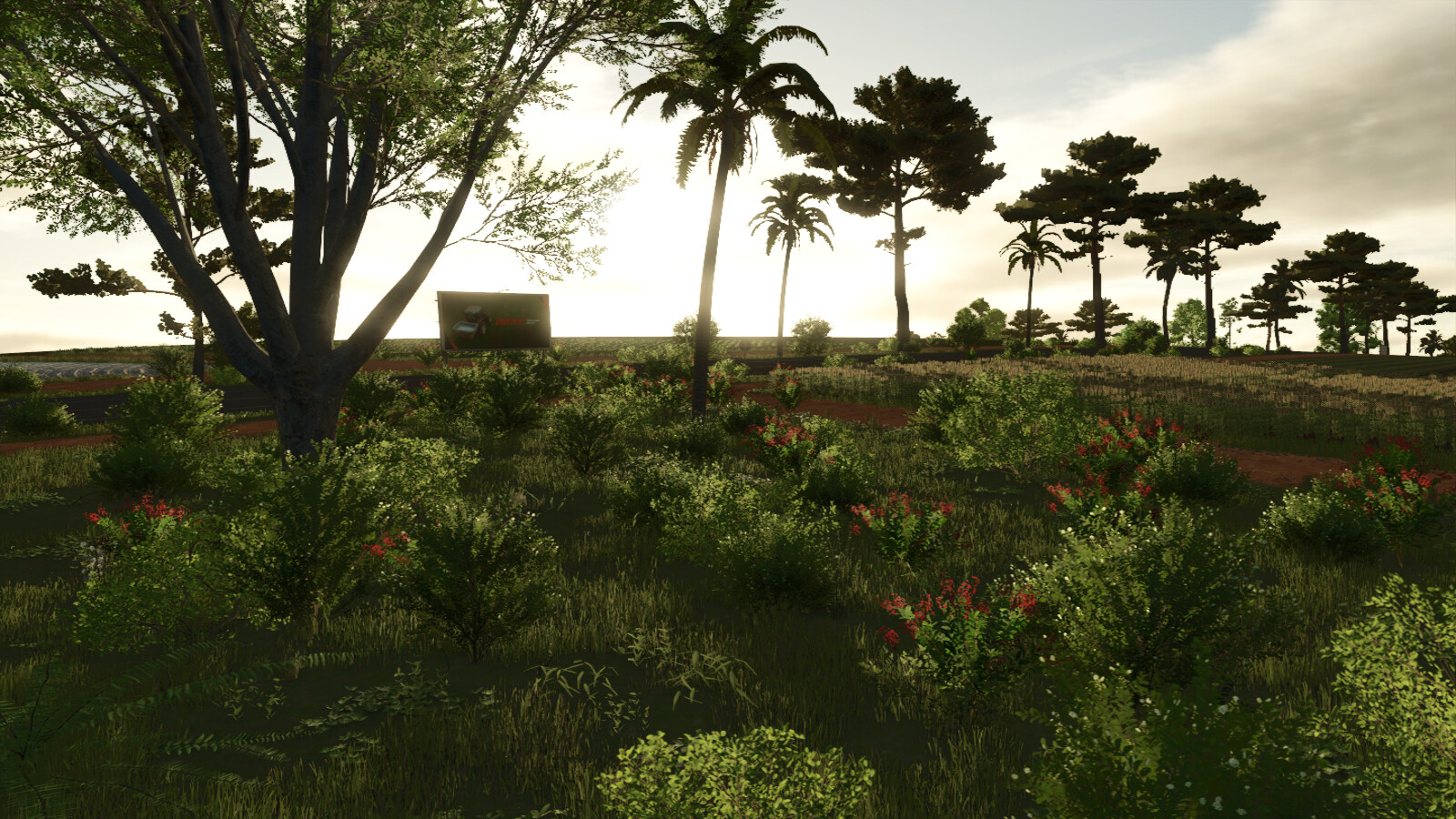 New Horizon Farm