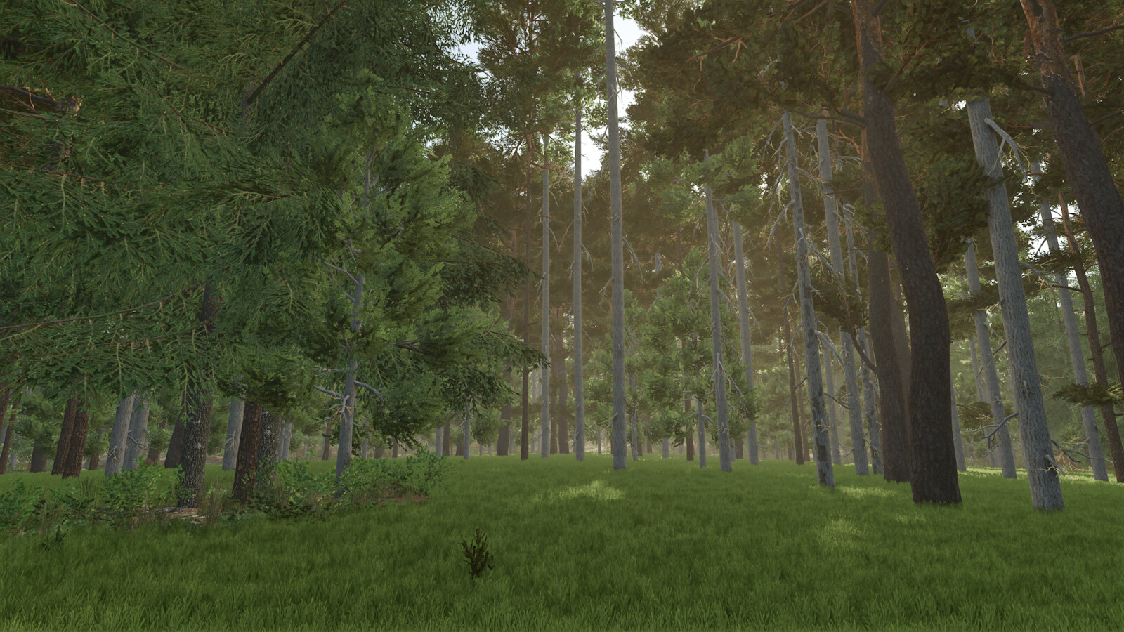 Unlimited Tree Placement