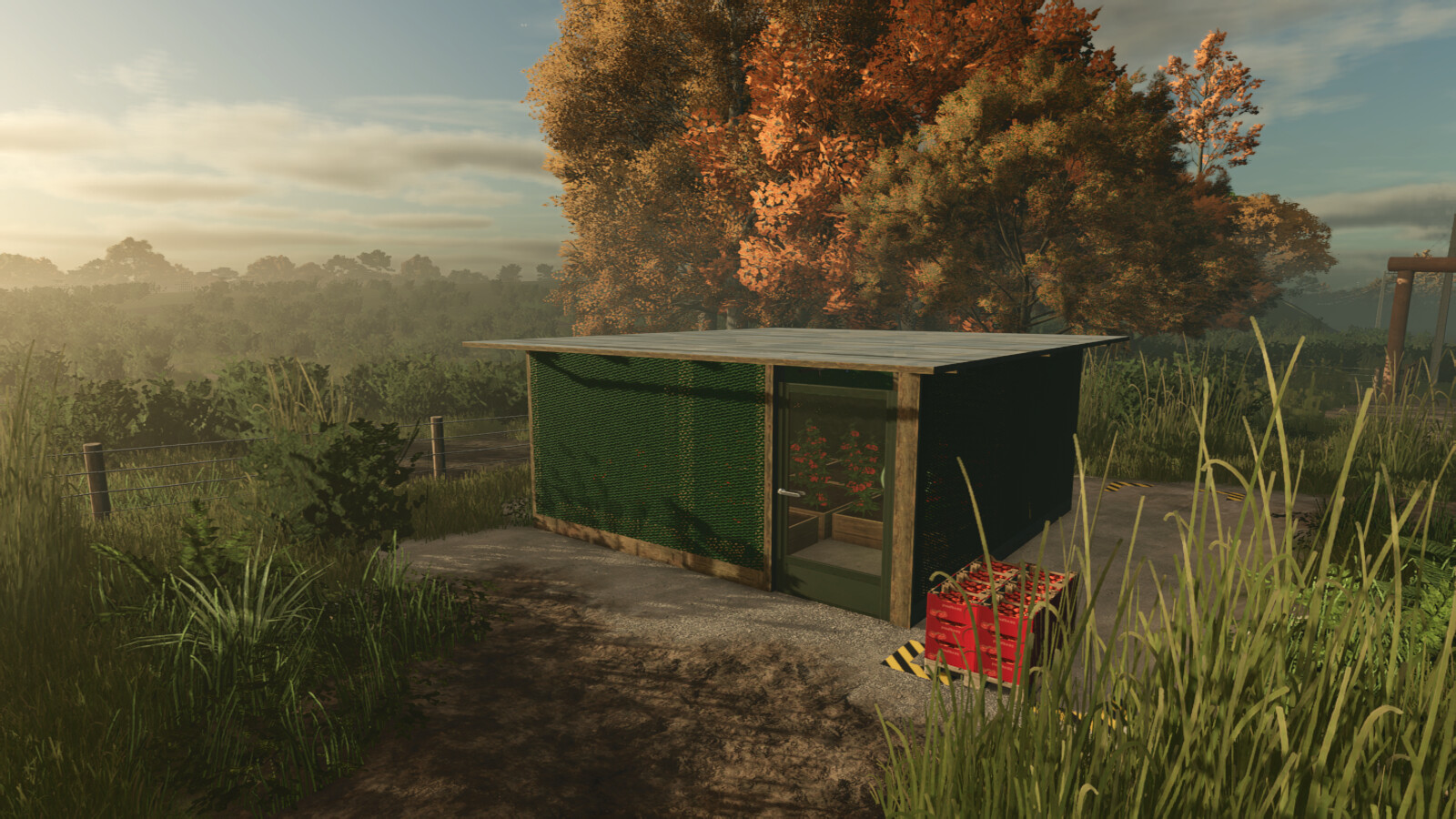 Small Greenhouse BR