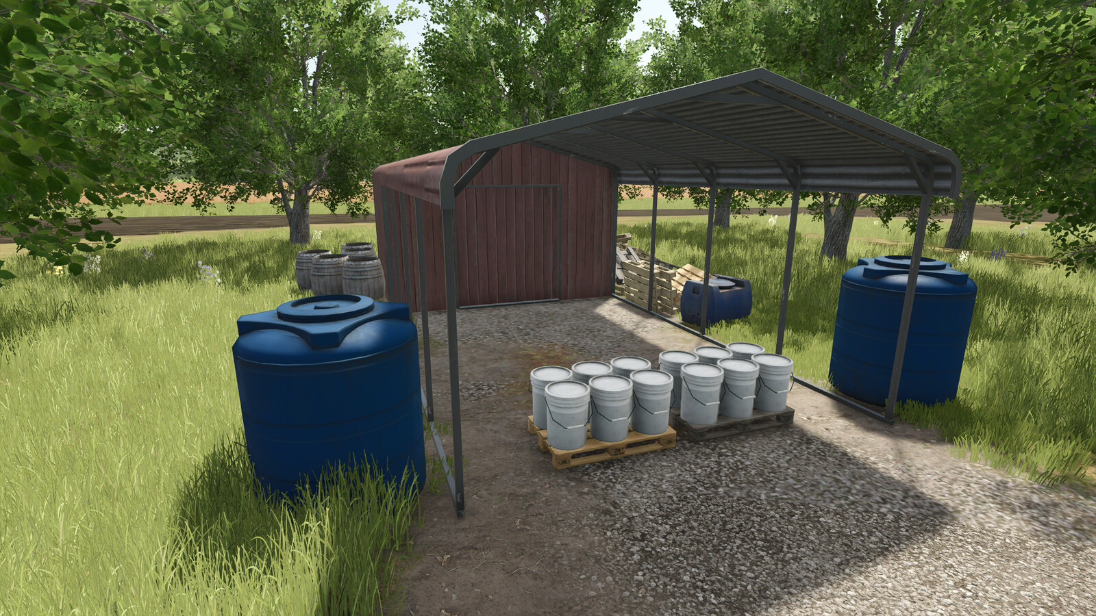 Maple Orchard