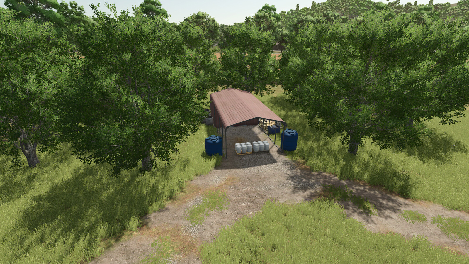 Maple Orchard