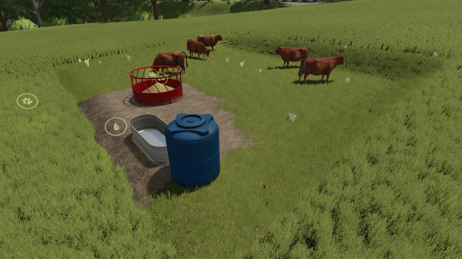 Open Pastures