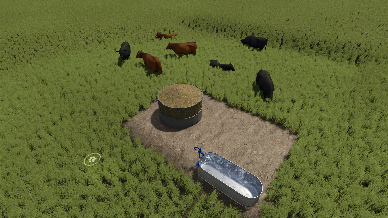 Open Pastures