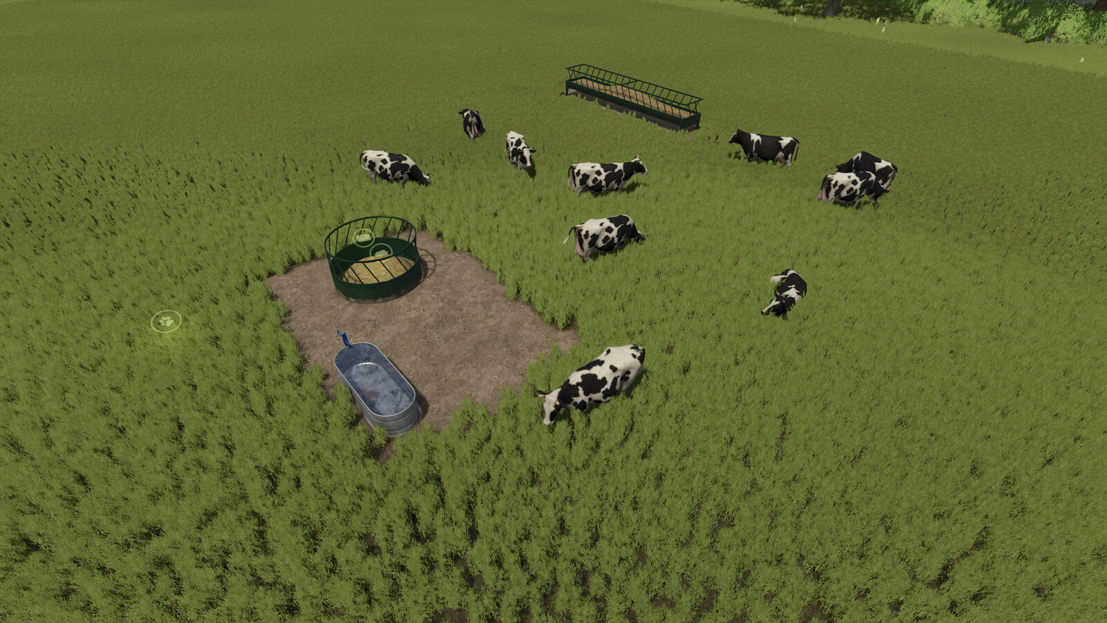 Open Pastures