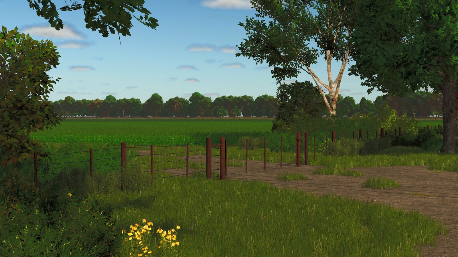 Horizonte Argentino