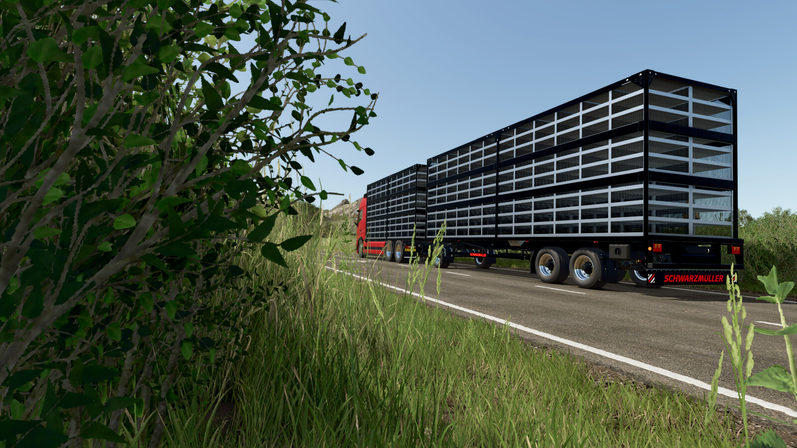 VOLVO FH16 CHICKEN POULTRY TRUCK