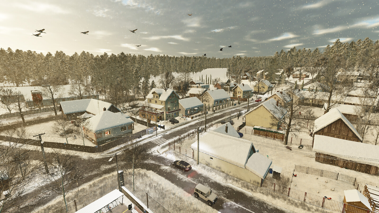 Carpathian Countryside