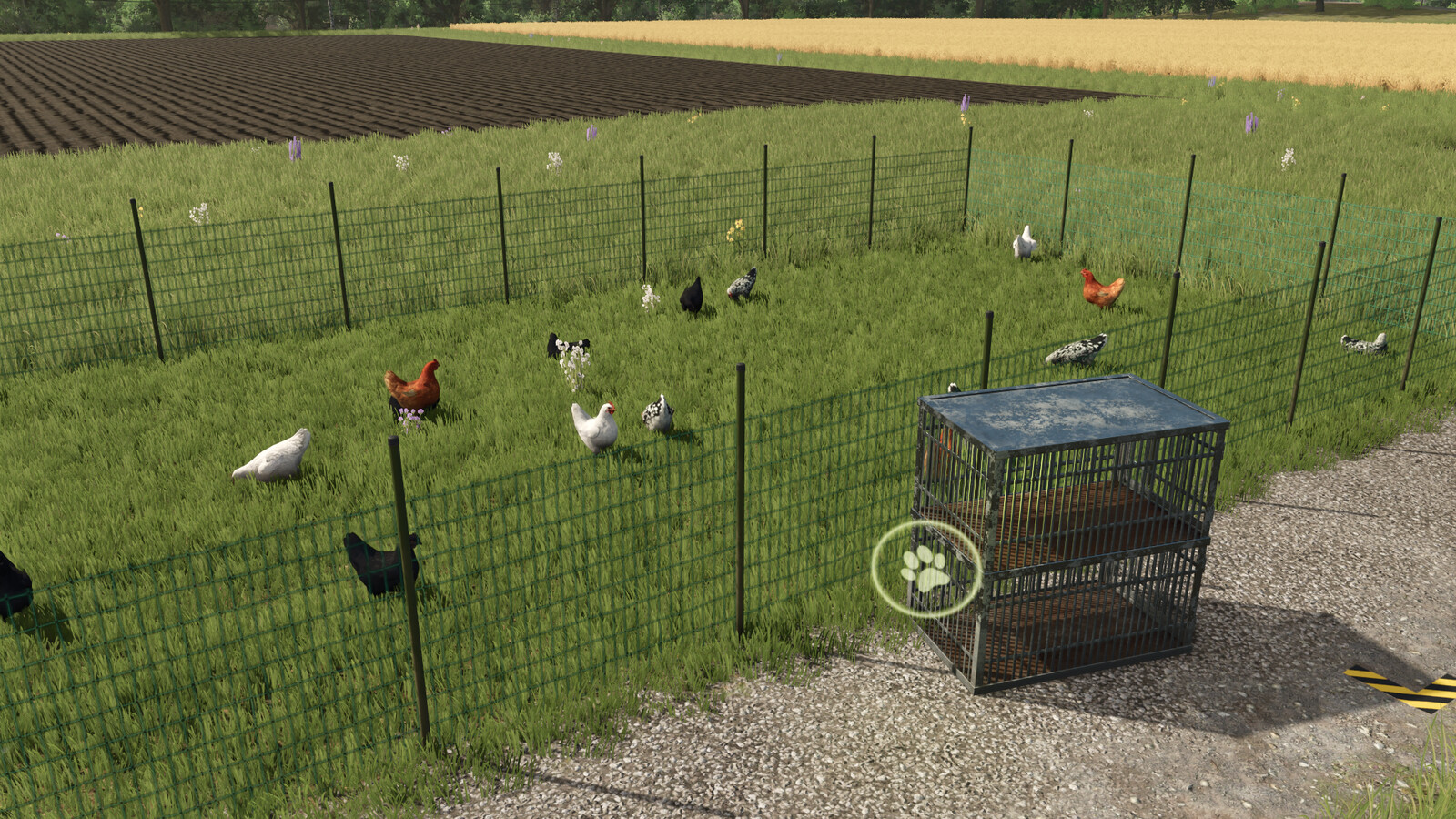 Chicken Transport Cage