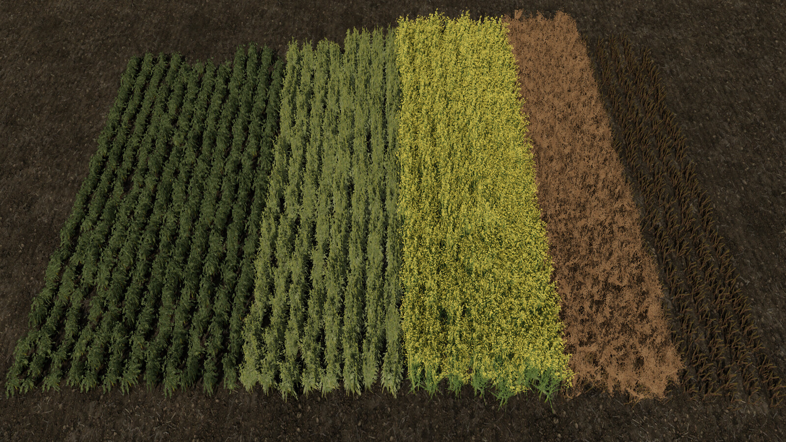 Row Seeding Barley, Oat, Wheat, Canola, Mulitfruit (Prefab*)
