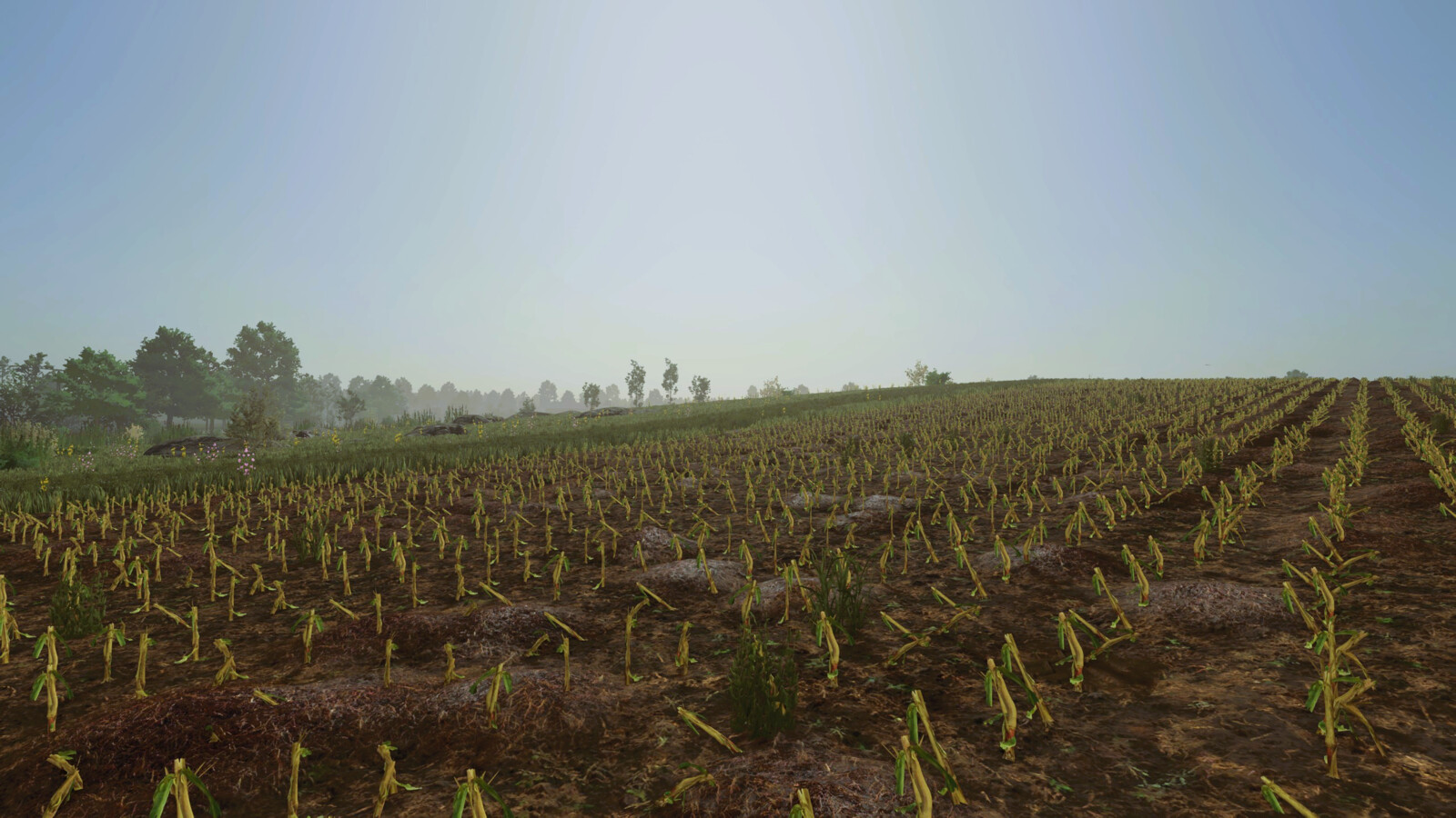 Manure Ground