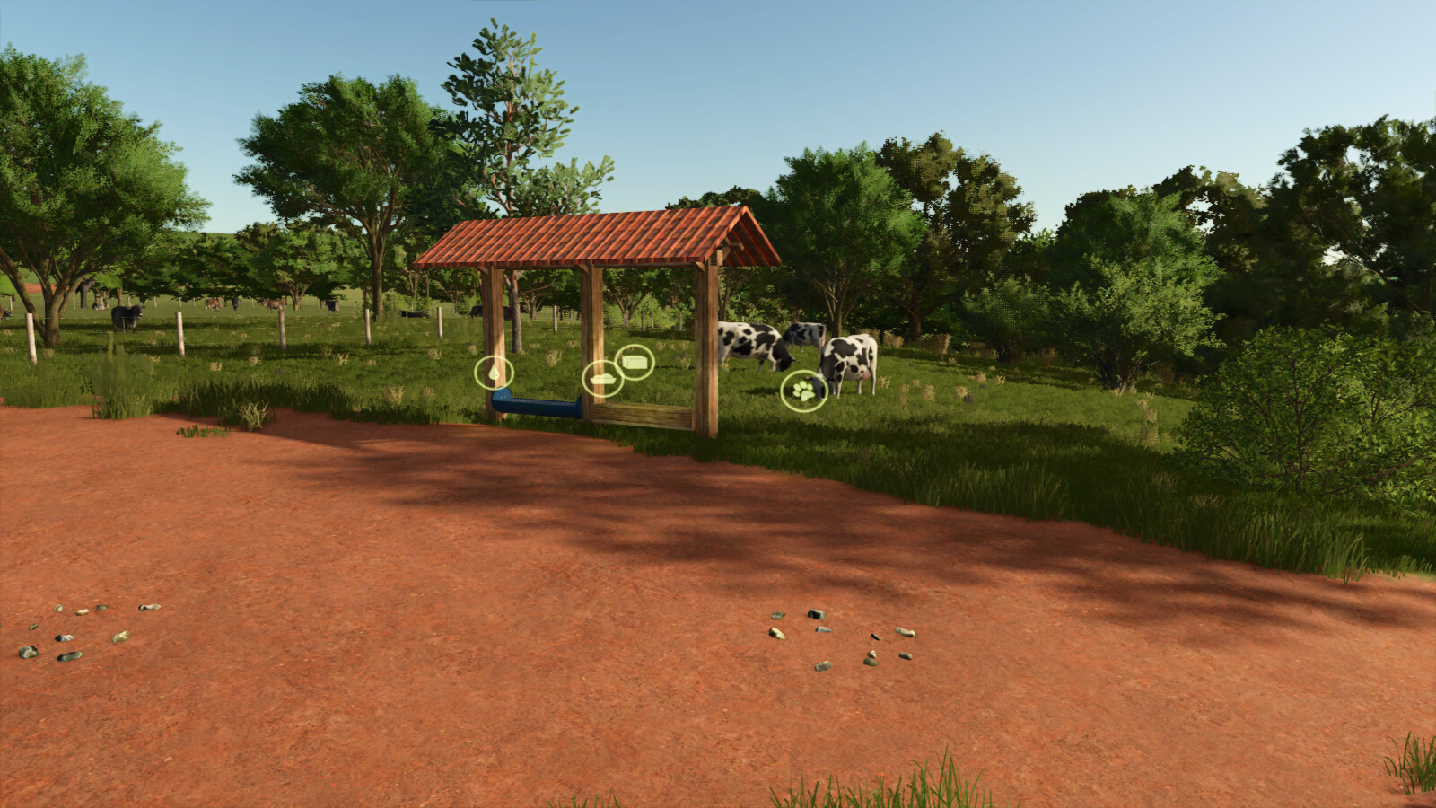 Small Pasture For Cows, Horses, And Sheep