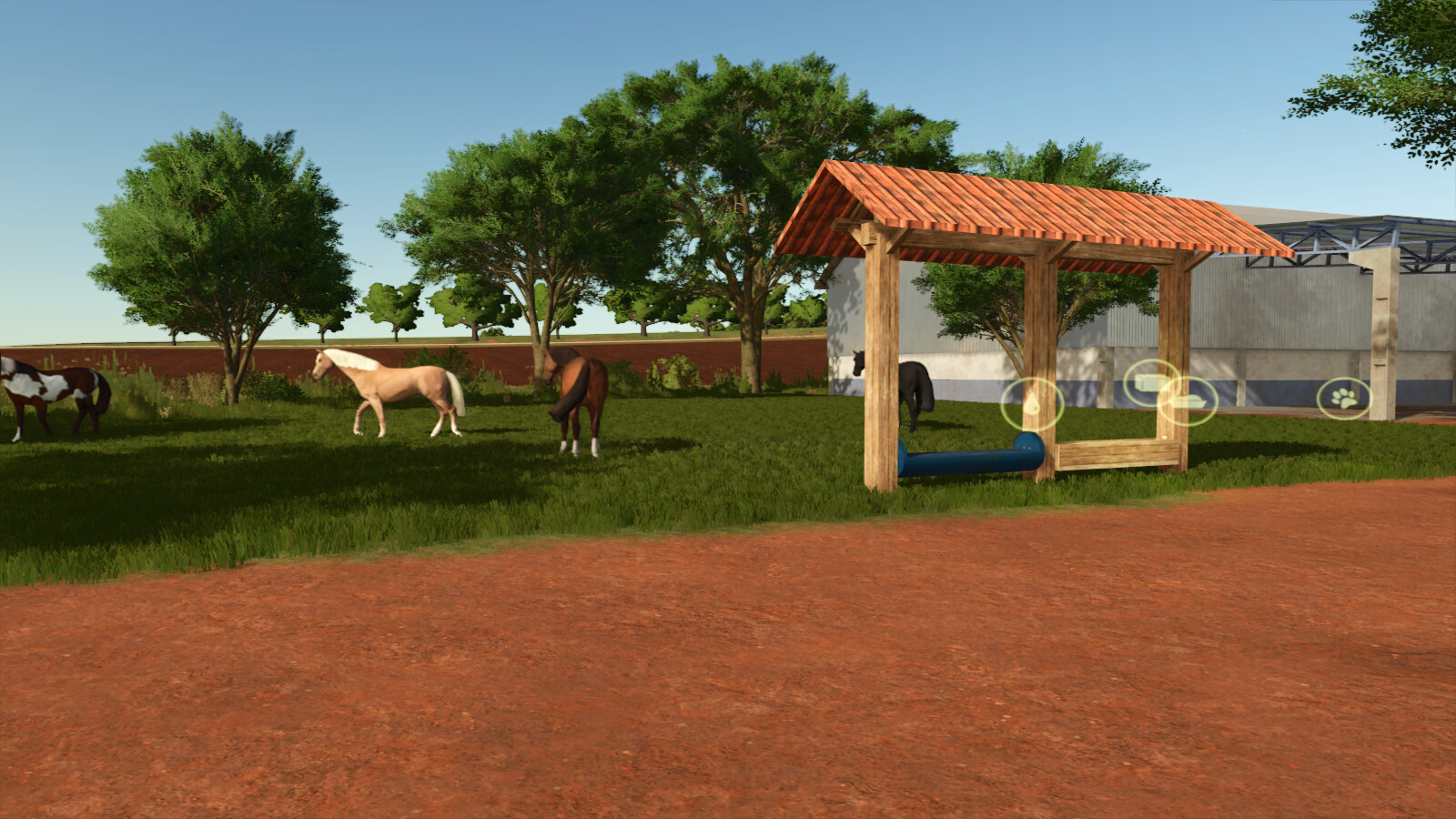 Small Pasture For Cows, Horses, And Sheep