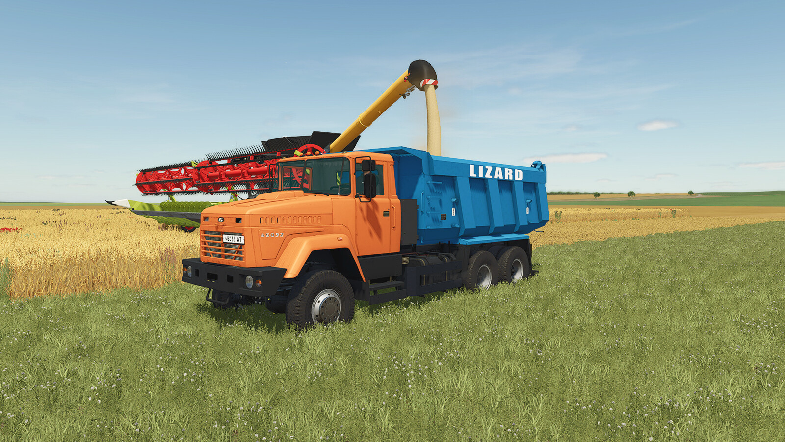 Lizard 65032