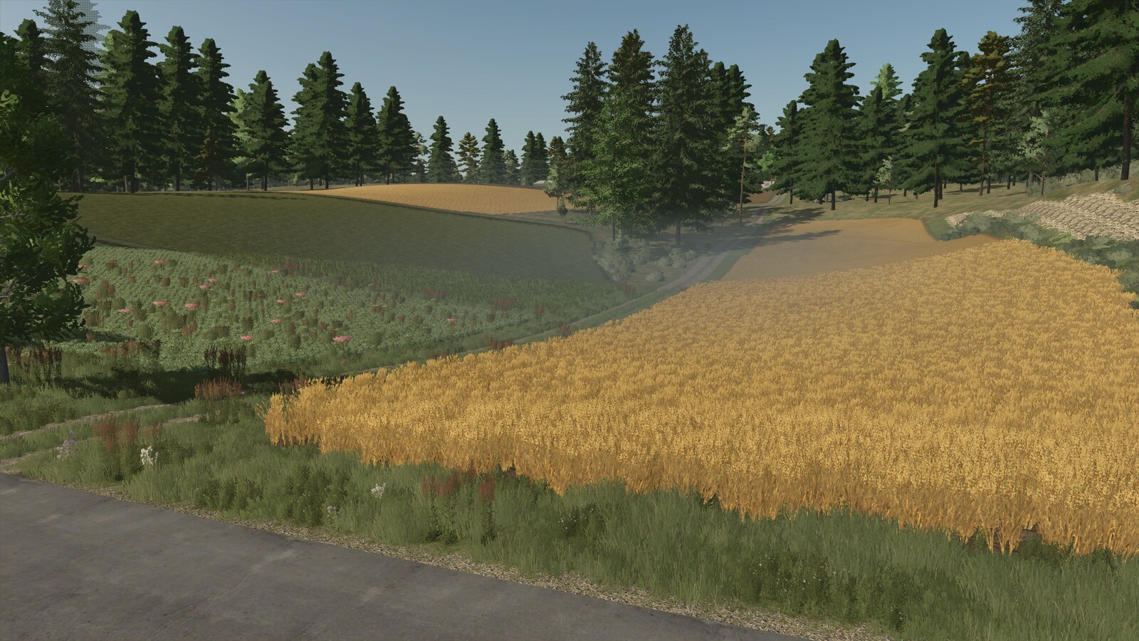 Kolonia 2026