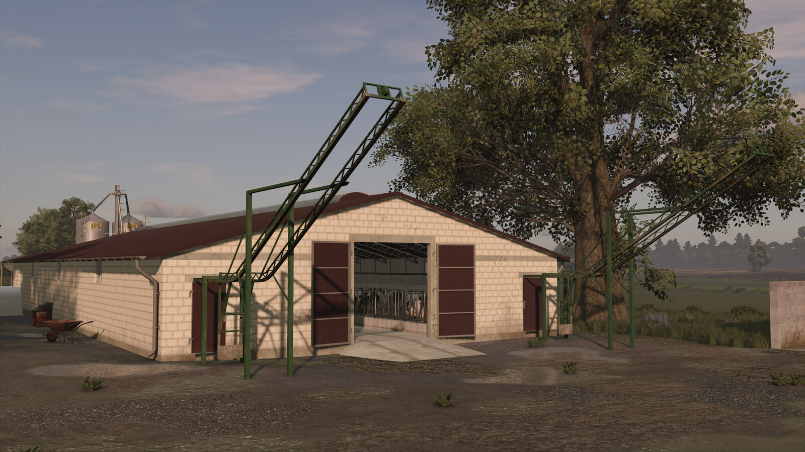 Cow Barn With Manure Conveyor