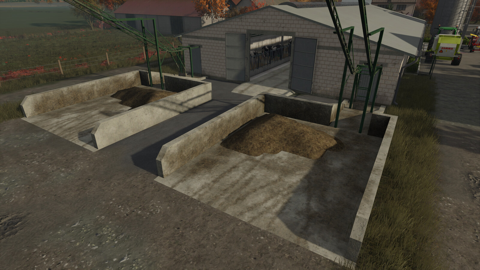 Cow Barn With Manure Conveyor