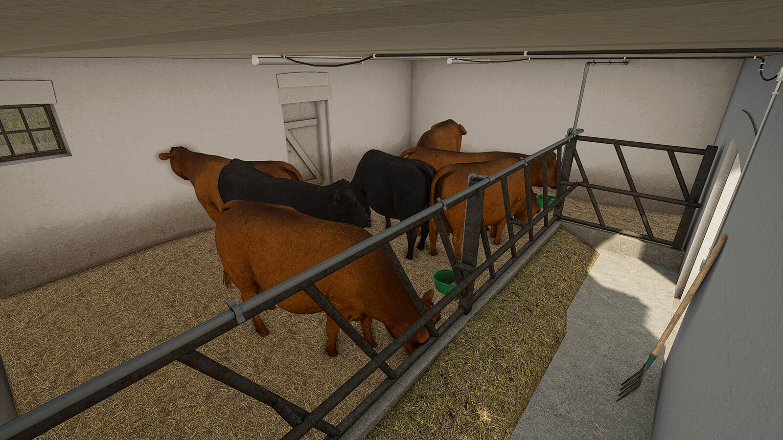 Cow Barn