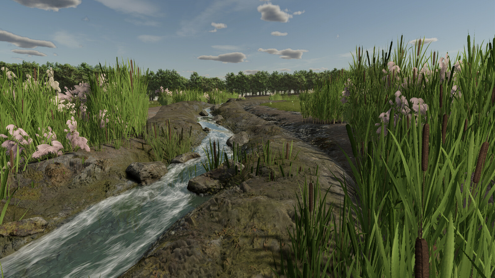 Rolling Meadow