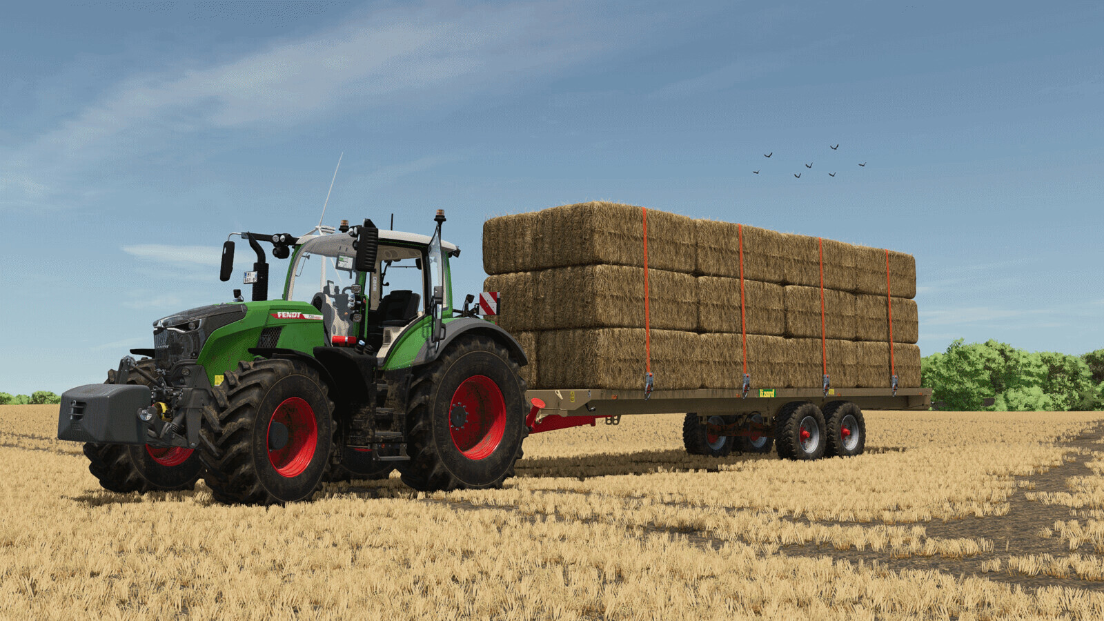 Lizard 100D16