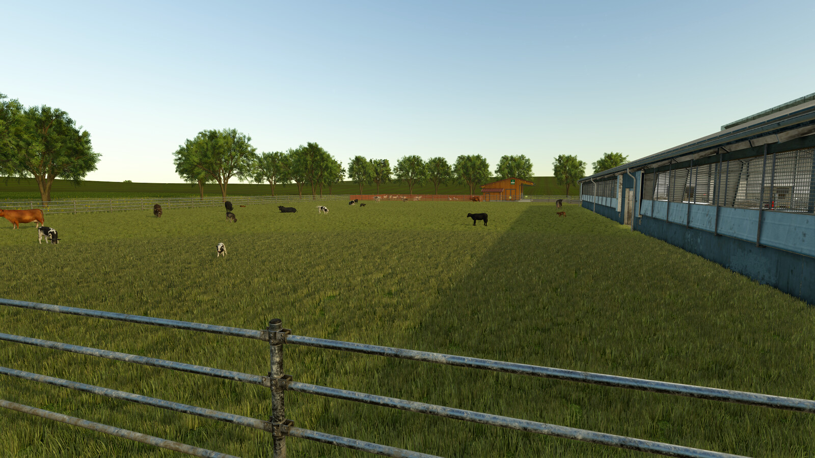 Kansas 16x