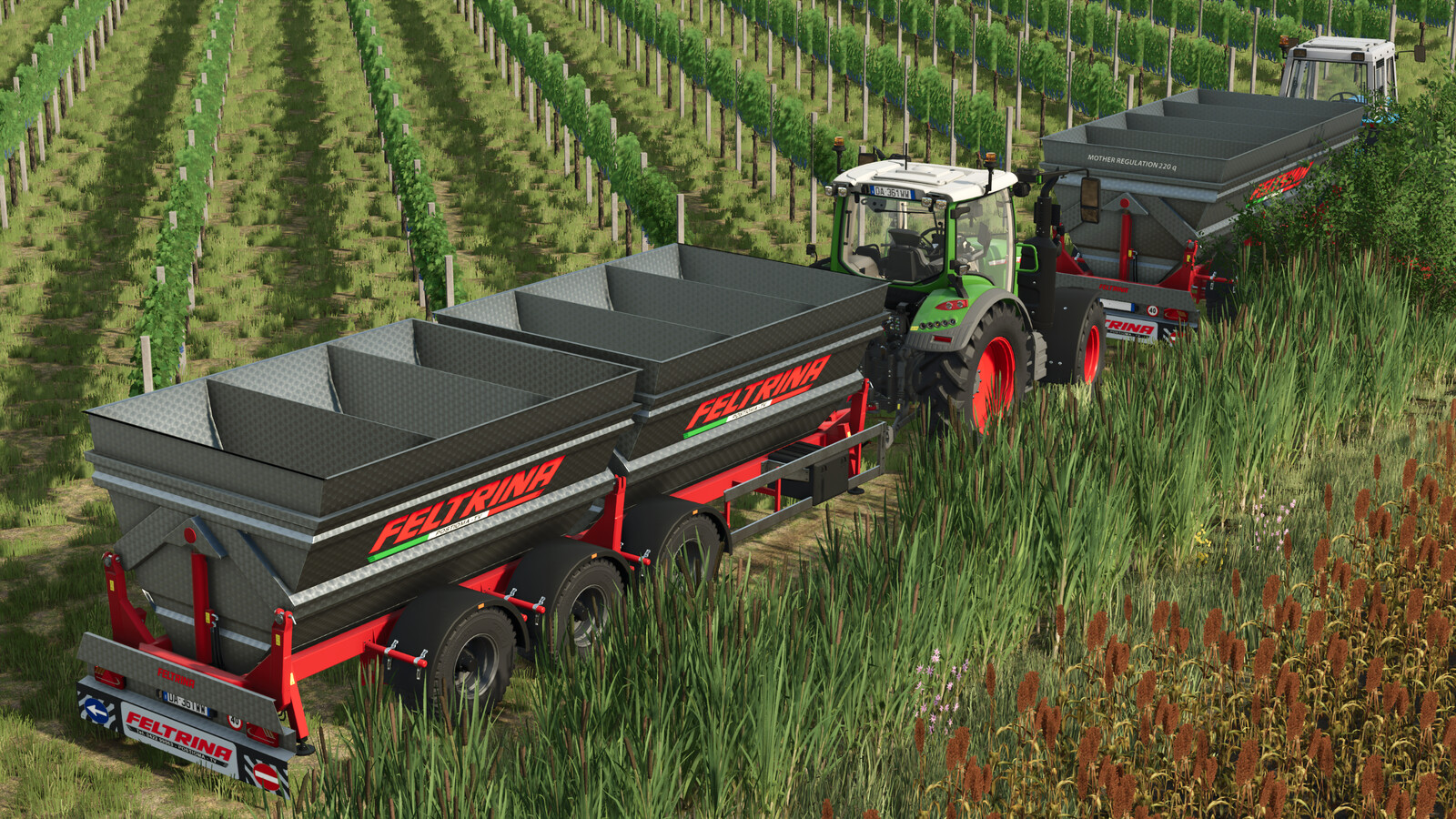 Feltrina Vineyard Series