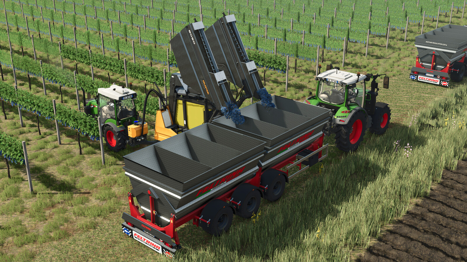 Feltrina Vineyard Series