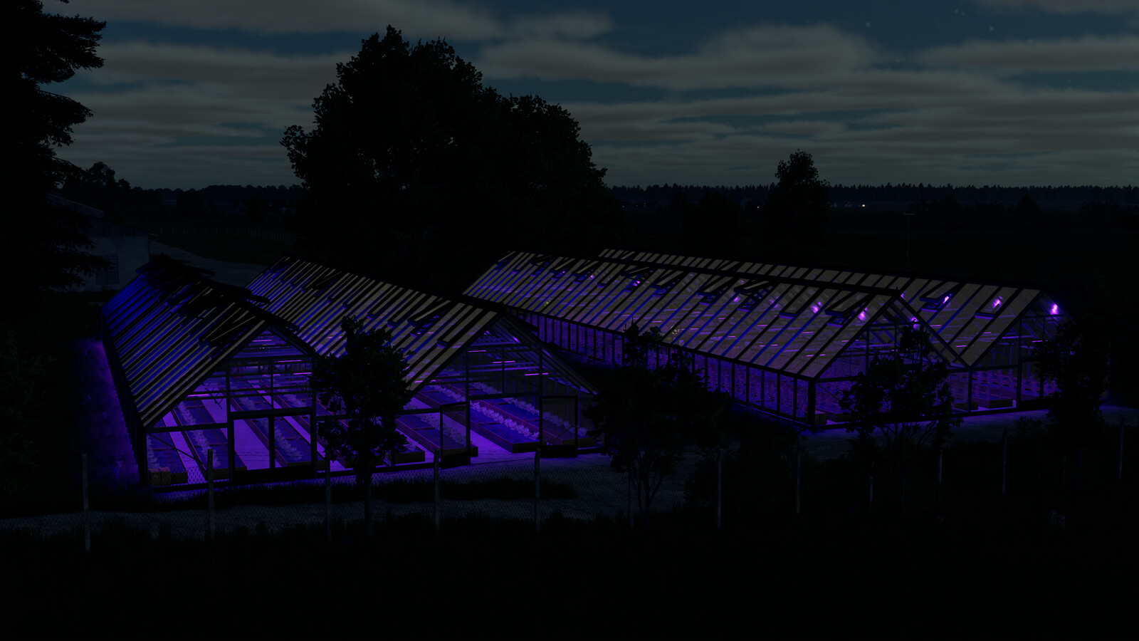 Large Glass Greenhouse Package