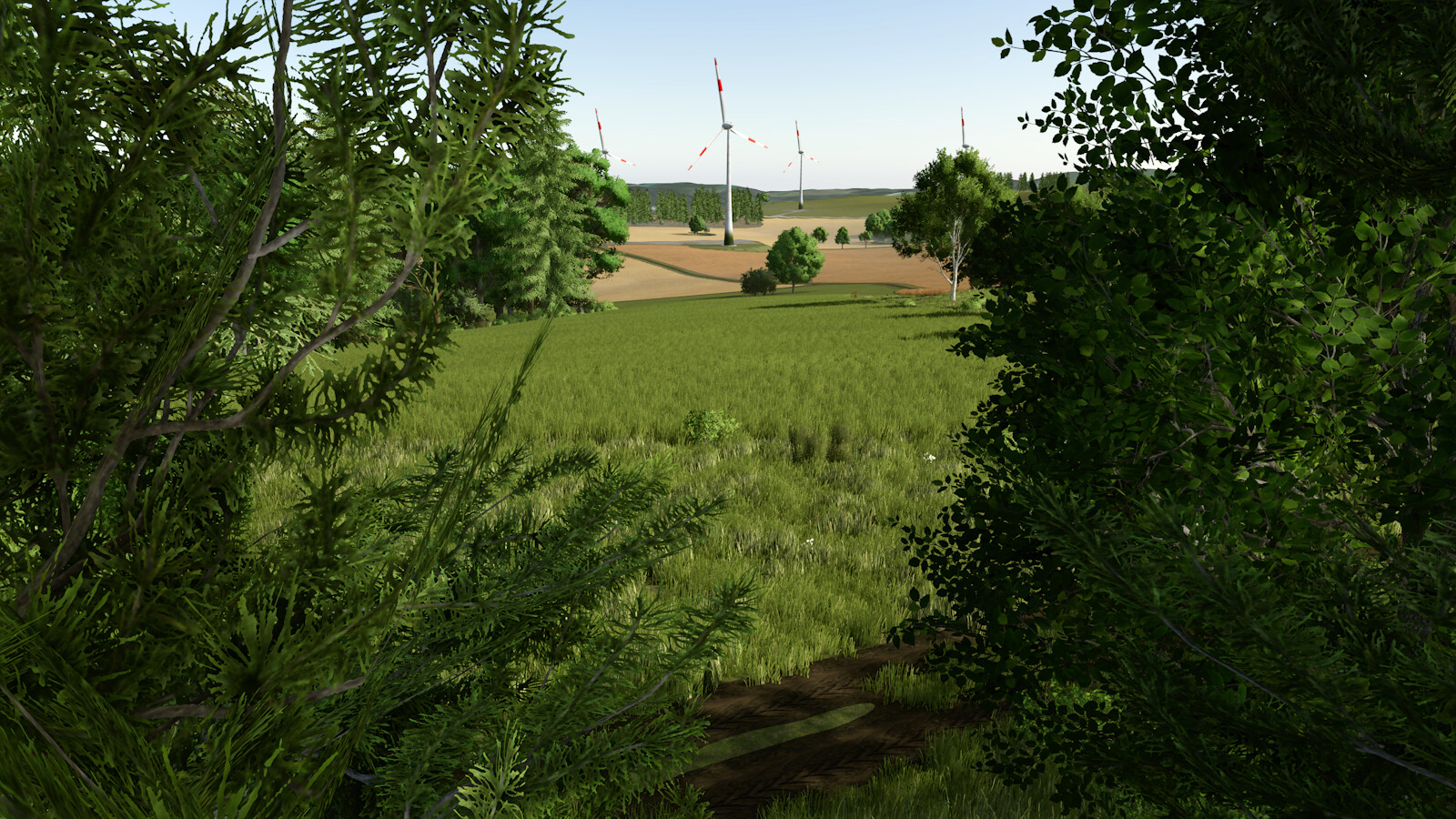 Homeland