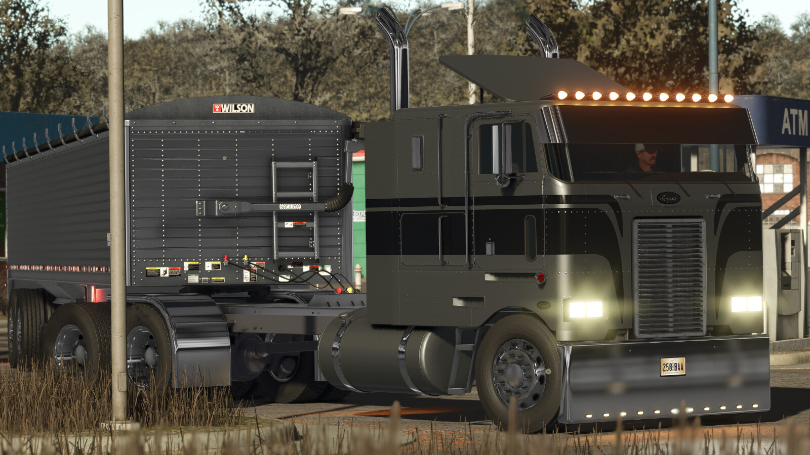 Lizard 362
