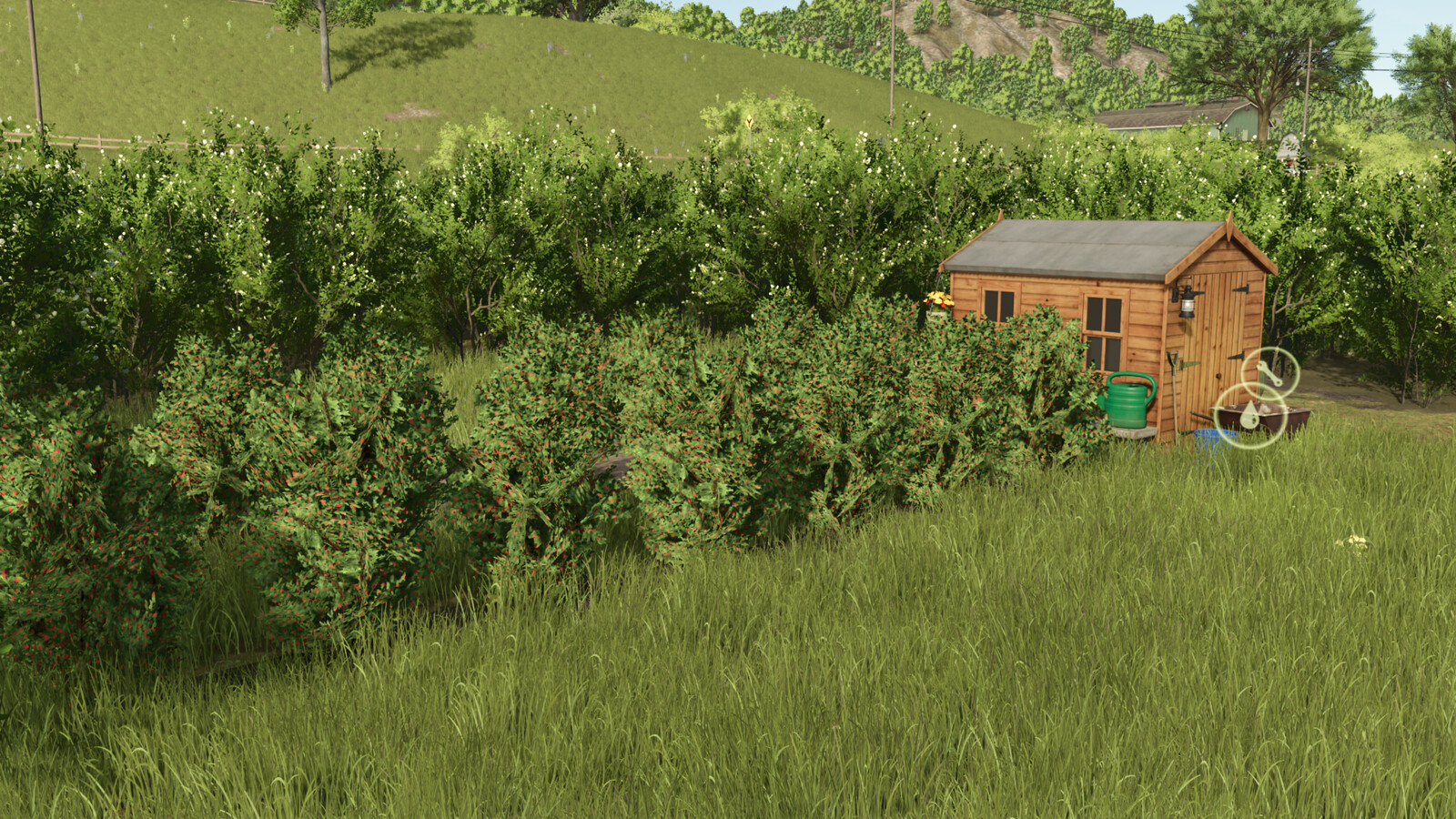 Raspberry Productions