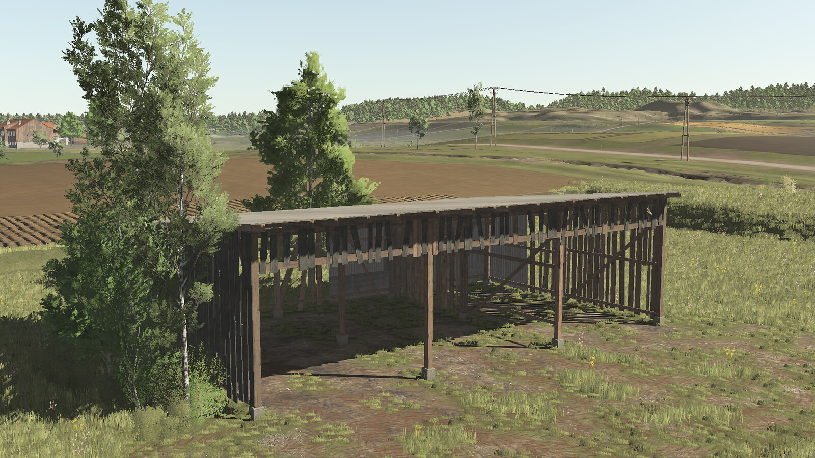 Shed