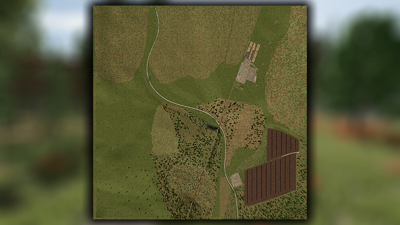 Sunshine Forest