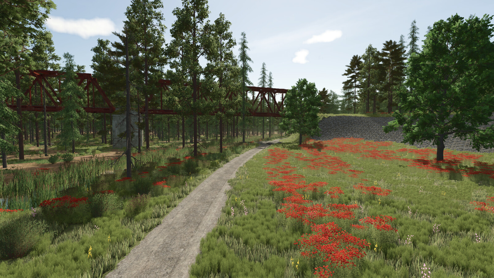 Sunshine Forest