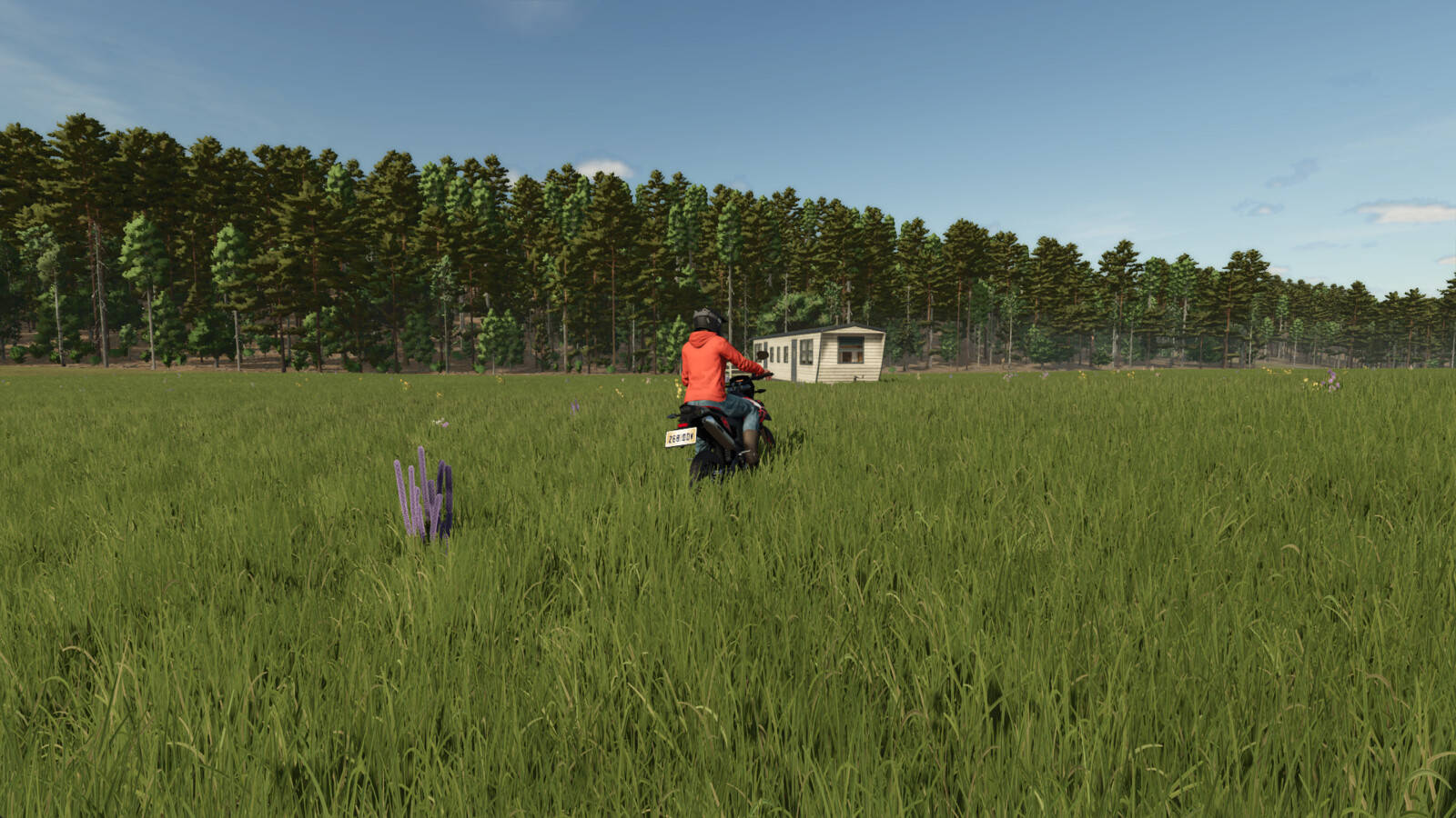 Homestead
