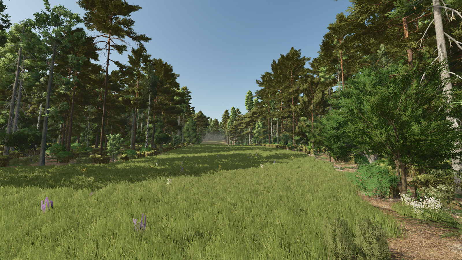 Homestead