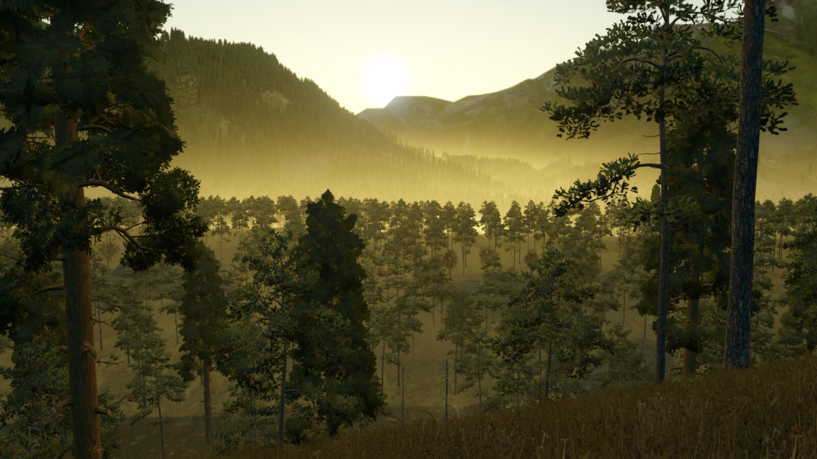 Greenwood Forest